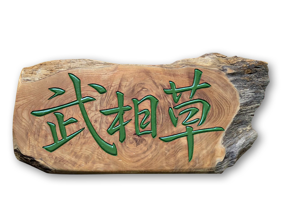 buaiso_sign