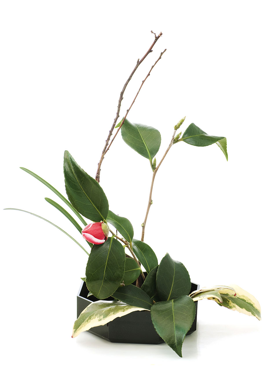 ikebana