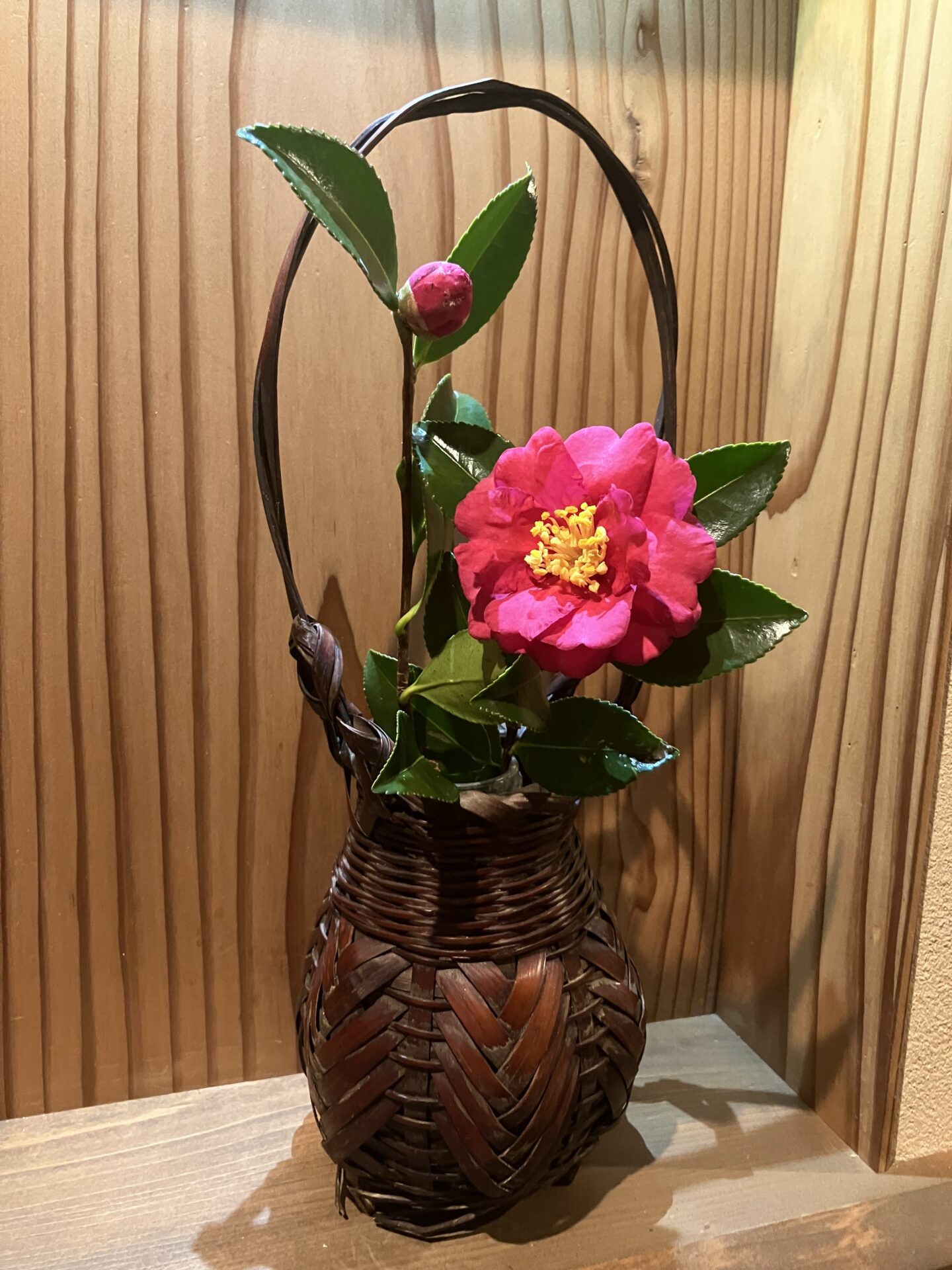 2月　定休日変更のお知らせ